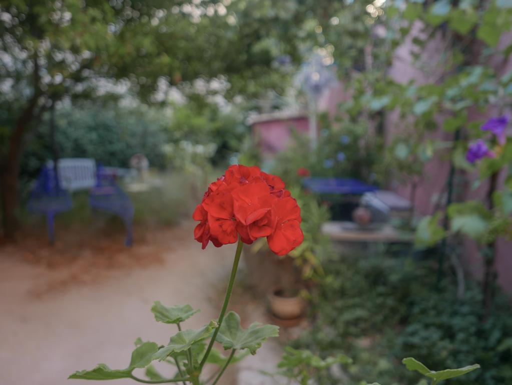 Vieux Port Panier Jardin Otel Marsilya Dış mekan fotoğraf