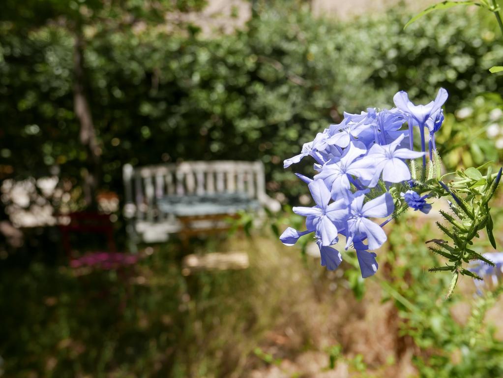 Vieux Port Panier Jardin Otel Marsilya Dış mekan fotoğraf